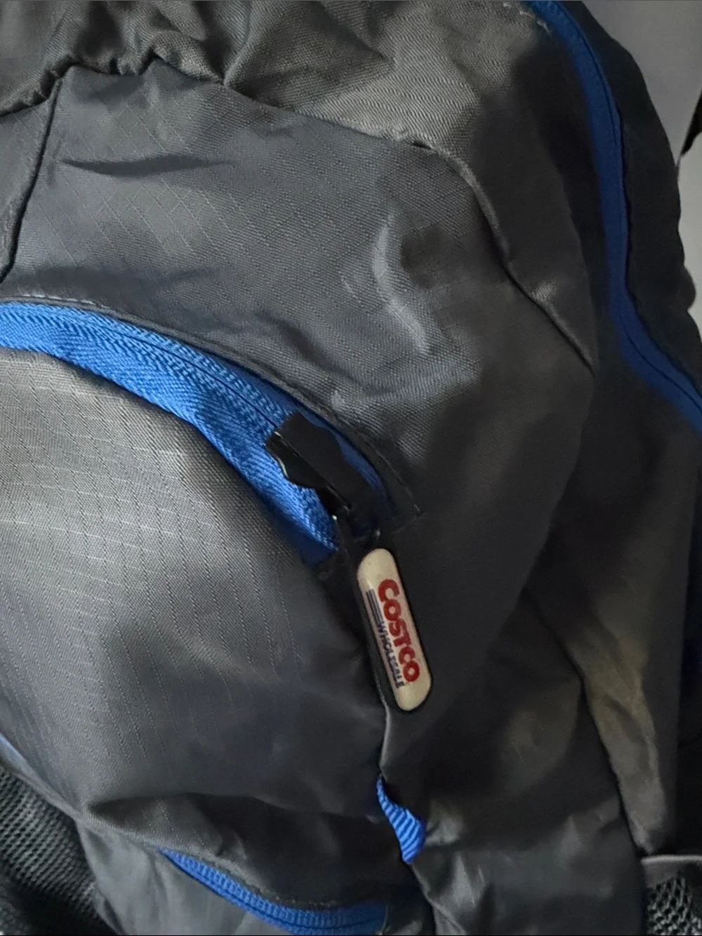 Costco Packable Backpack